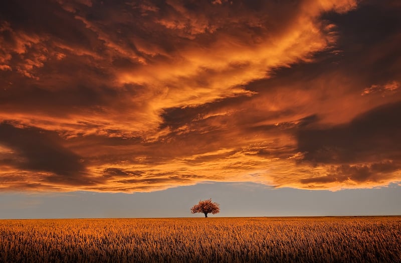 Sunset Photo